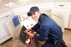 Best Gas Line Installation and Repair  in Panaca, NV